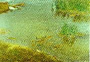 bruno liljefors grunt vatten painting